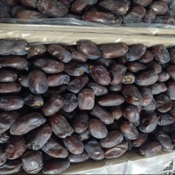 صادرات انواع خرما