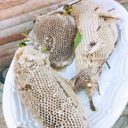 عسل طبیعی کنار