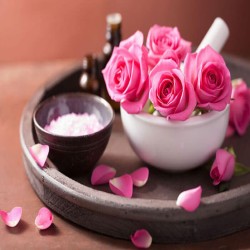 گل محمدی 