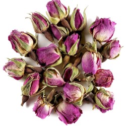 گل محمدی خوش عطرو تازه