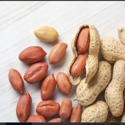 بادام زمینی بادام زمینی