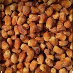 خرما خشک