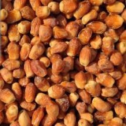 خرما زاهدی یا همان دیری