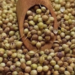 گشنیز درجه یک