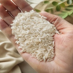 برنج طارم هاشمی
