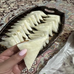 غذاهای خانگی جنوبی شهر بوشهر