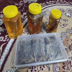 عسل کوهی