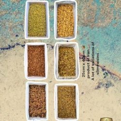 طلای سبز ، کشمش خراسان