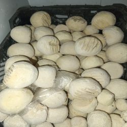 کشک محلی درجه ۱اعلا دارای کلسیم فراوان  