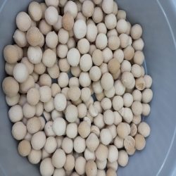 کشک ارگانیک درجه یک