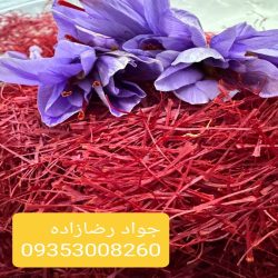 زعفران رویال نگین قلم درشت