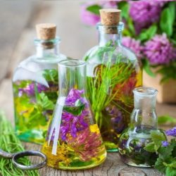 عرقیات گیاهی اصل 