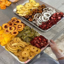 میوه خشک و بستنی خشک