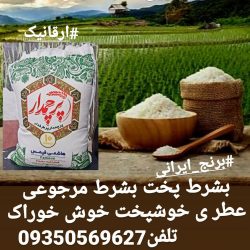 برنج درجه یک ایرانی هاشمی اصیل