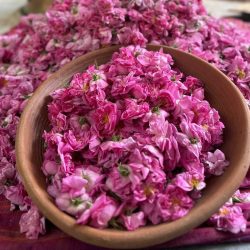 گلاب و عرقیجات 