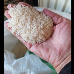 برنج درجه یک شمال