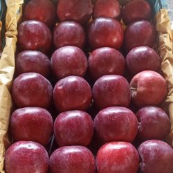 سیب درجه یک صادراتی 