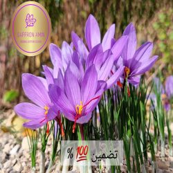 زعفران اصل قائنات ایران برند امین