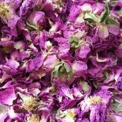 گل محمدی