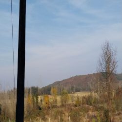 زمین باغی درشمال ایران 