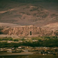 همراهی توریست