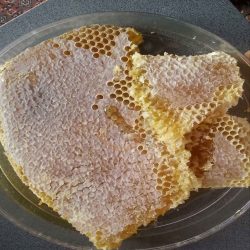 عسل طبیعی اصل سهند سبلان عسل طبیعی اصل سهند سبلان