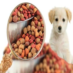 غذای پستانداران و طیور