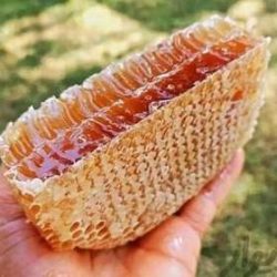 توزيع أفضل أنواع العسل الطبي 