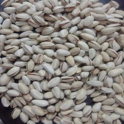 تولید و پخش پسته
