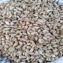 پسته اکبری پسته اکبری